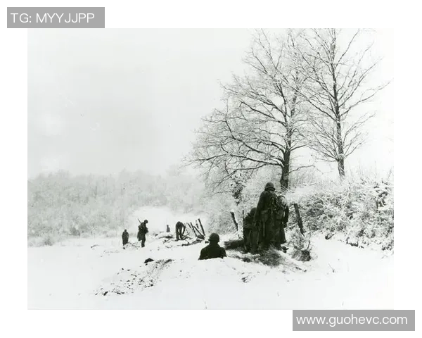 伐木者在新英格兰的挑战与机遇探讨：一场关于勇气与智慧的较量